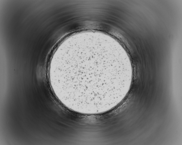 X0000094910828200712271510