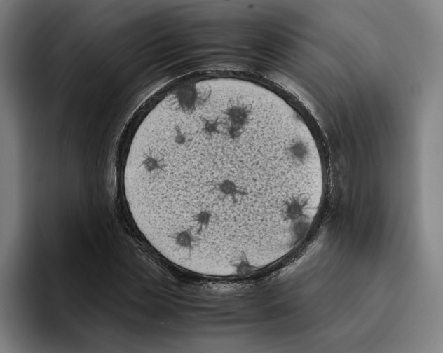 X0000094910829200712271510