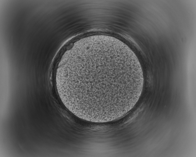 X0000094910830200712271510