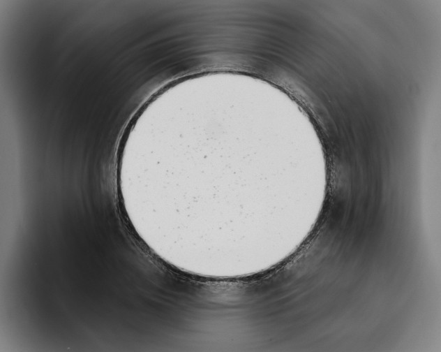 X0000094910836200712271511