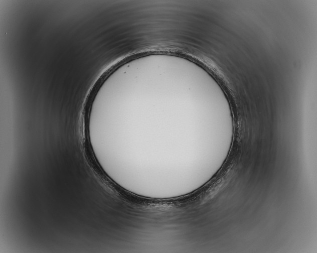 X0000094910838200712271511