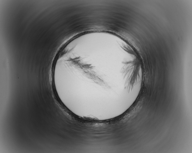 X0000094910839200712271511