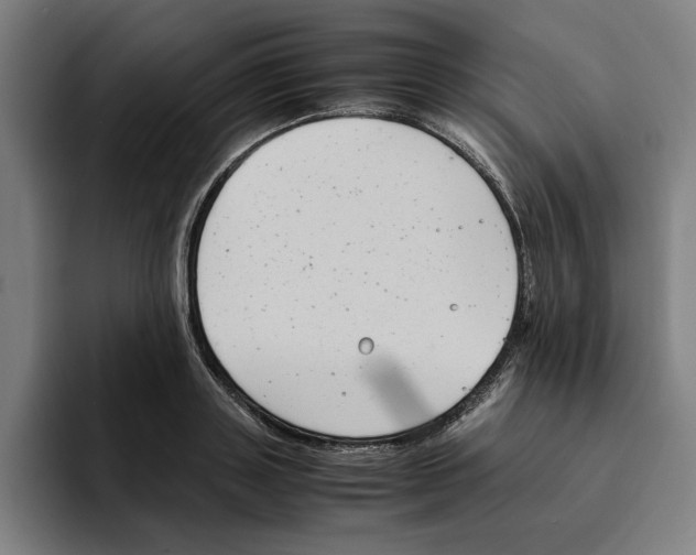 X0000094910843200712271511