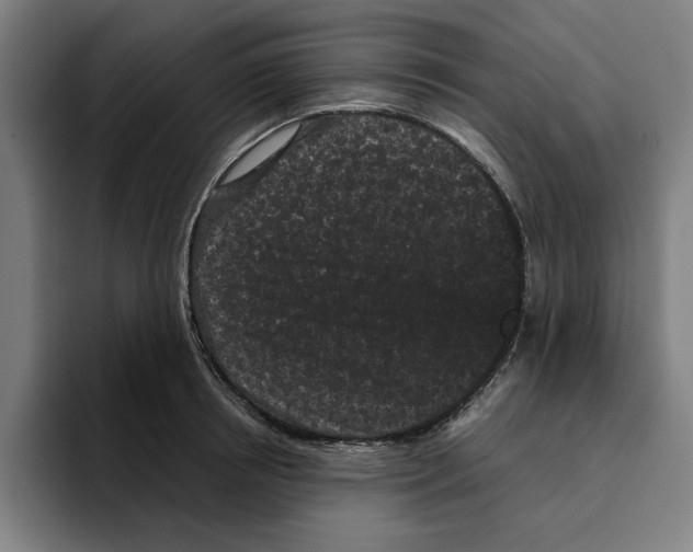 X0000094910850200712271511