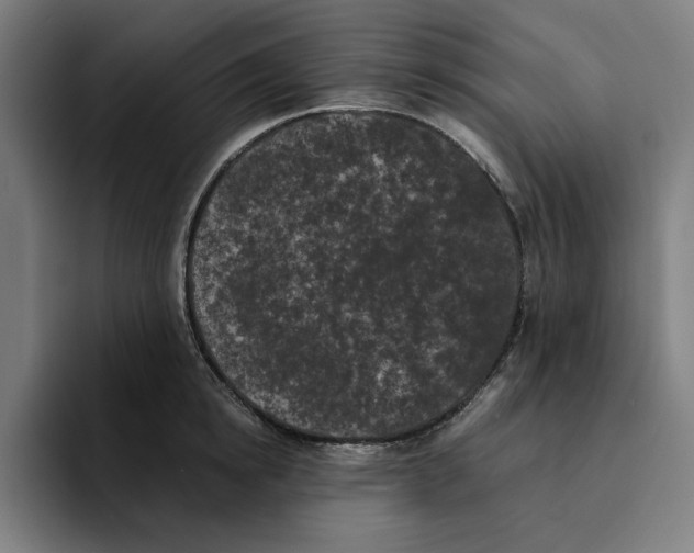 X0000094910854200712271511