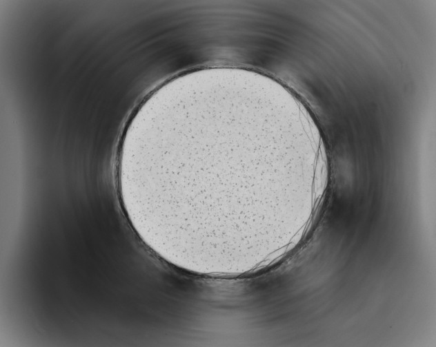 X0000094910856200712271511