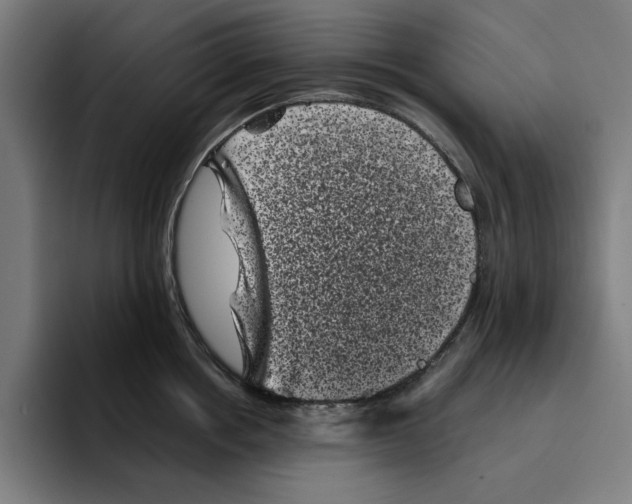 X0000094910858200712271511