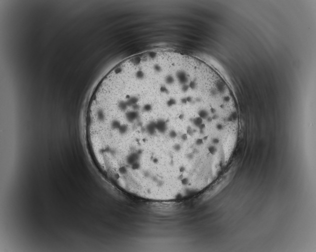 X0000094910859200712271511