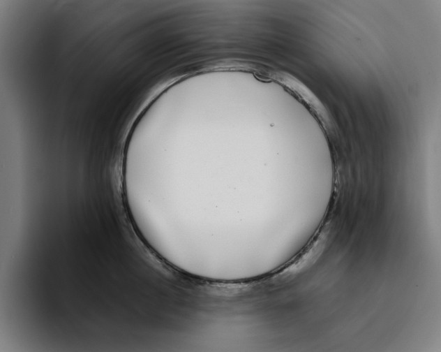 X0000094910860200712271511