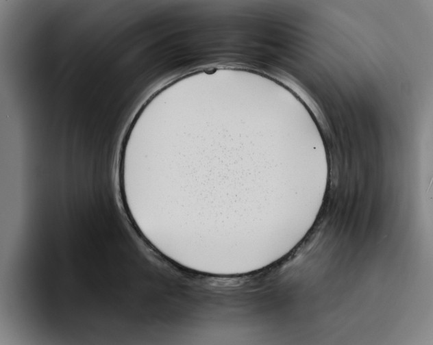 X0000094910861200712271511