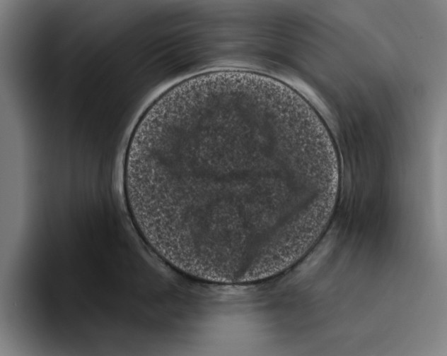 X0000094910862200712271511