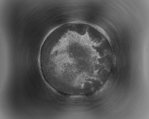 X0000094910863200712271511