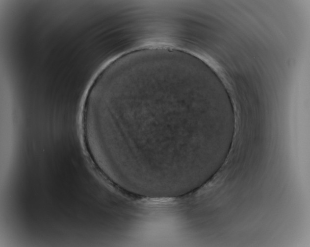 X0000094910864200712271511