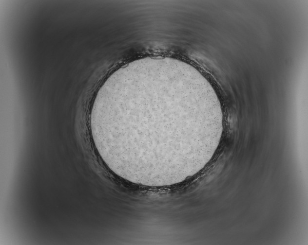 X0000094910865200712271510