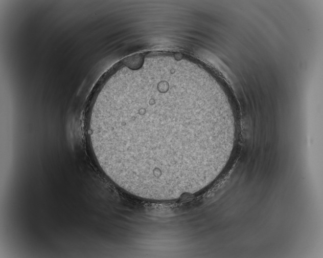 X0000094910875200712271510