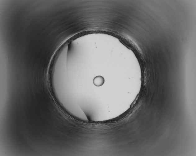 X0000094910876200712271510