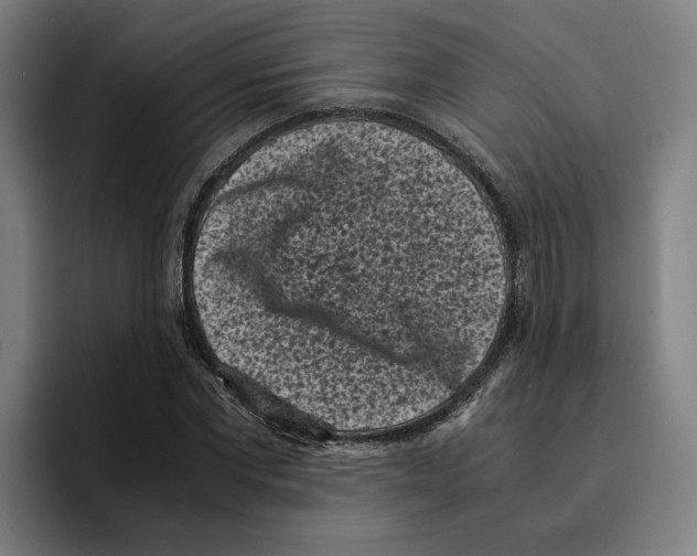 X0000094910877200712271510