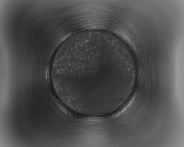 X0000094910881200712271510