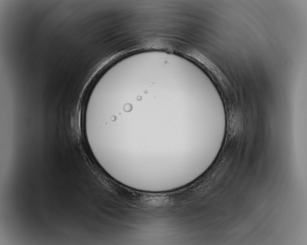 X0000094910886200712271510