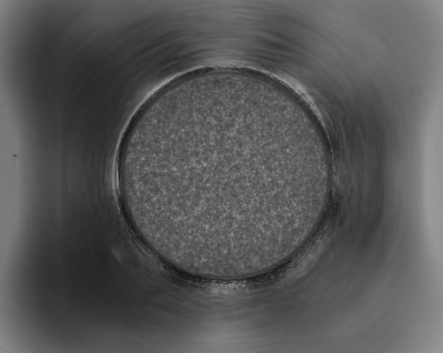 X0000094910887200712271510