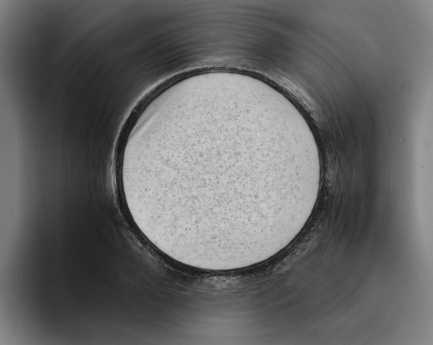 X0000094910888200712271510