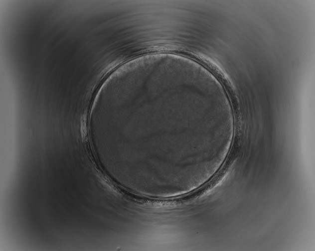 X0000094910889200712271510