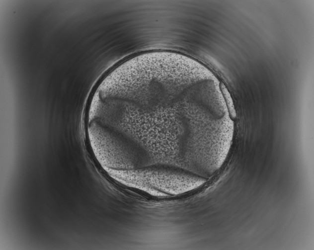 X0000094910892200712271510