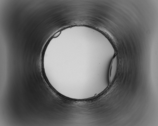 X0000094910894200712271510