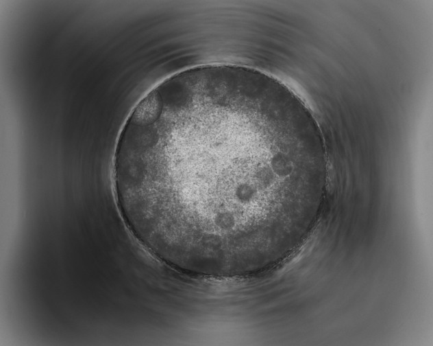 X0000094910895200712271510