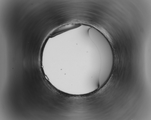 X0000094910896200712271510