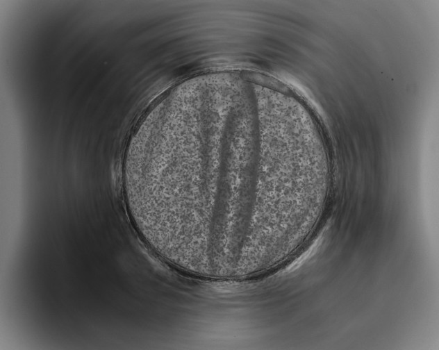 X0000094910897200712271510