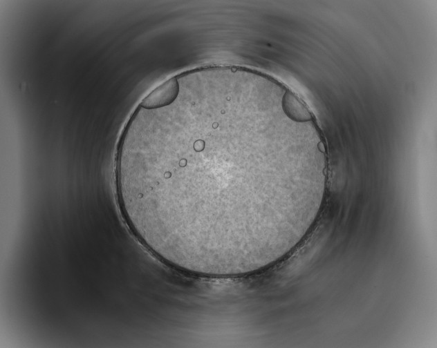 X0000094910903200712271510