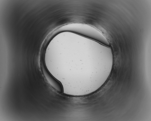 X0000094910904200712271510