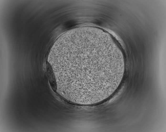 X0000094910905200712271510