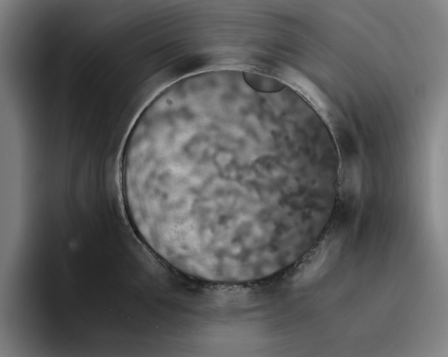 X0000094910907200712271510