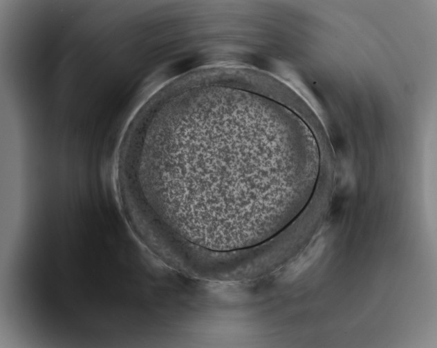 X0000094910909200712271510