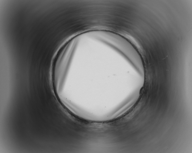 X0000094910910200712271510