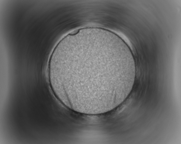 X0000094910911200712271510