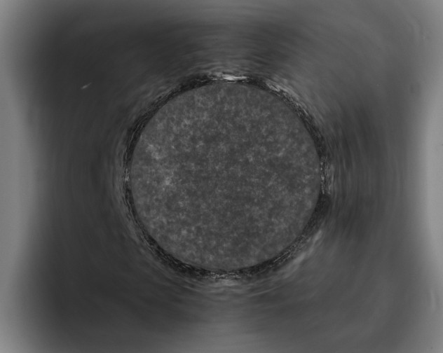 X0000094910913200712271509