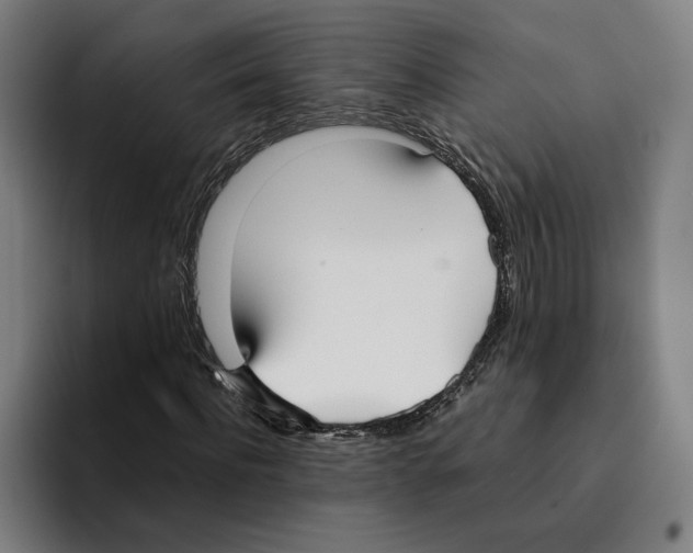 X0000094910916200712271509