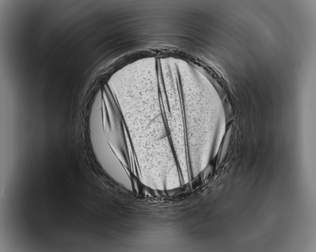 X0000094910920200712271509