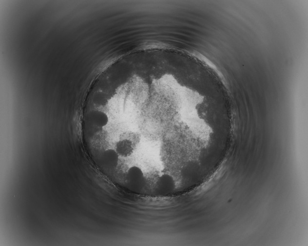 X0000094910921200712271509