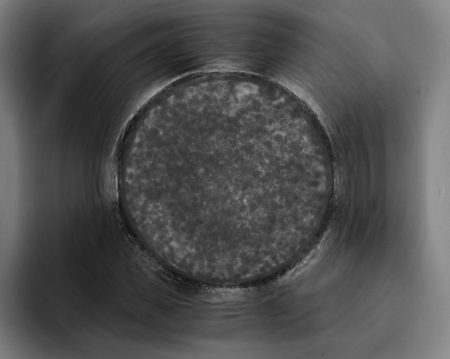 X0000094910925200712271509