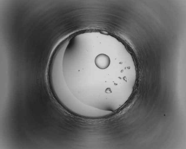 X0000094910928200712271509