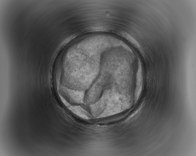 X0000094910930200712271509