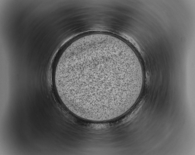 X0000094910931200712271509