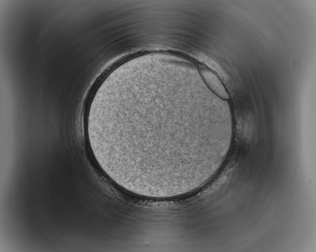 X0000094910934200712271509