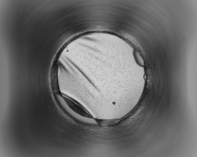 X0000094910942200712271509