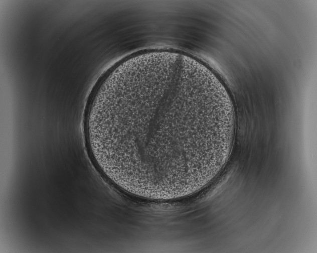 X0000094910943200712271509