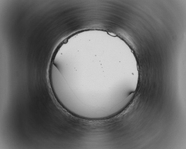 X0000094910944200712271509